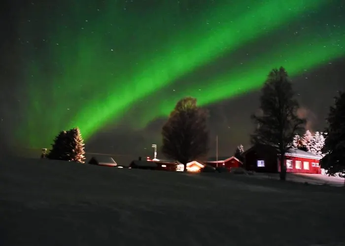 Alanko * 토르니오